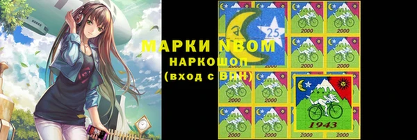 прущие грибы Верхний Тагил